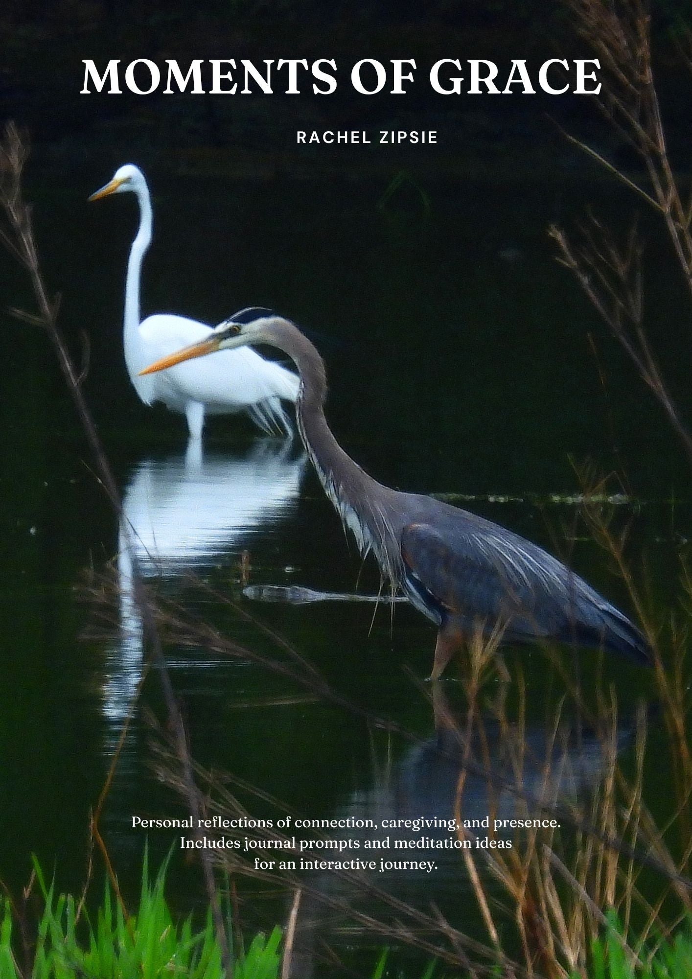 Moments of Grace Paperback